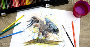 87 Gambar Lukisan Elang Pakai Pensil 87 Gambar Lukisan Elang Pakai Pensil